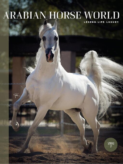 Title details for Arabian Horse World by Arabian Horse World AG - Available